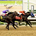 Dr. Venkman Busts Out in Del Mar's Pat O'Brien, Secures Breeders' Cup Dirt Mile Berth